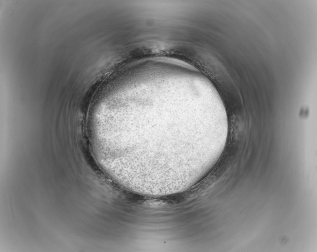 X0000090430650200708102006
