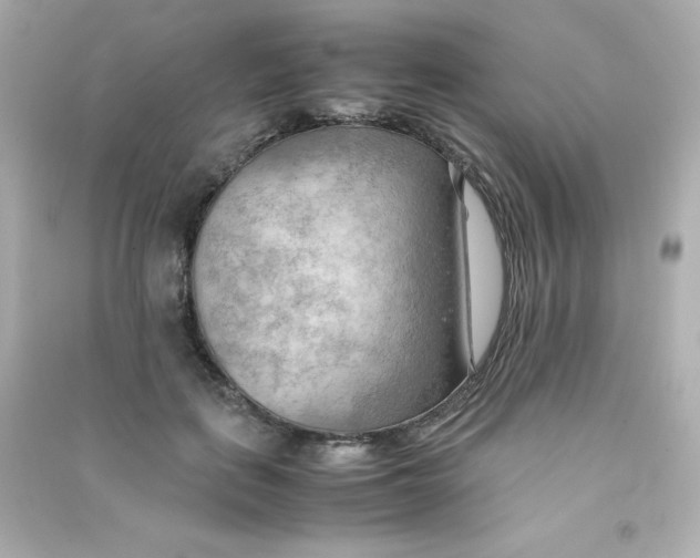 X0000090430651200708102006