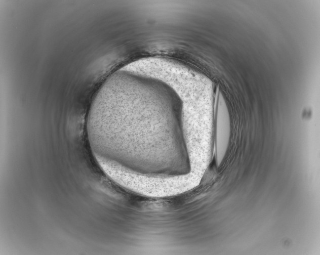 X0000090430652200708102006