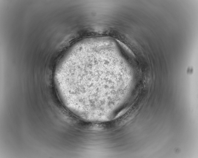 X0000090430656200708102006