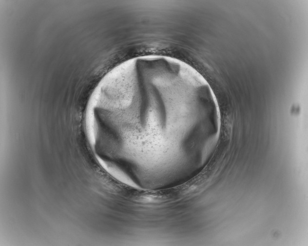 X0000090430657200708102006