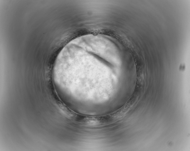 X0000090430658200708102006