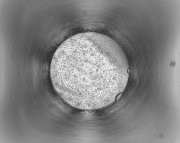X0000090430660200708102006