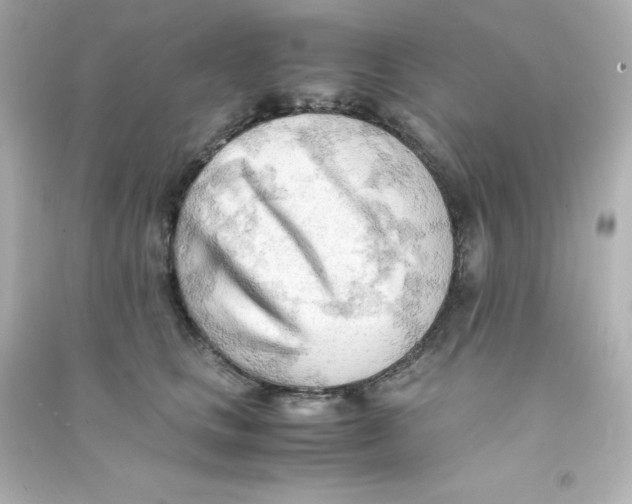 X0000090430661200708102006