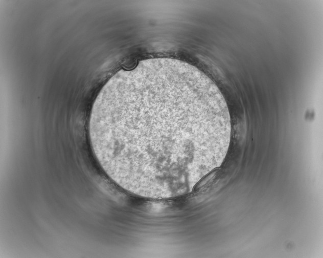 X0000090430662200708102006
