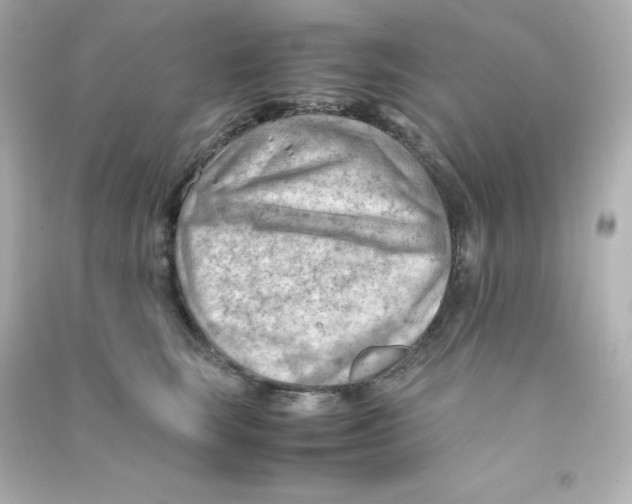 X0000090430663200708102006