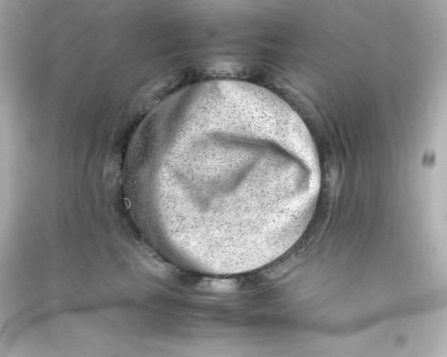 X0000090430665200708102006