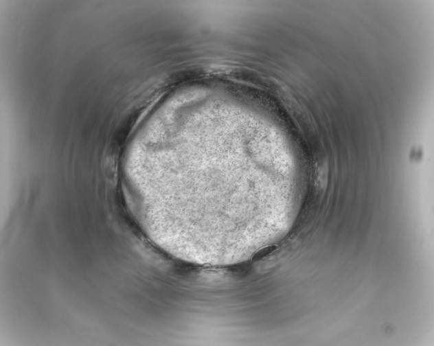 X0000090430666200708102006