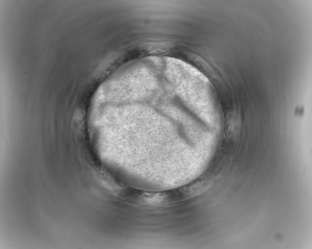 X0000090430667200708102006