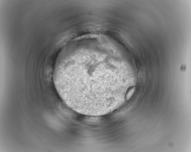 X0000090430671200708102006