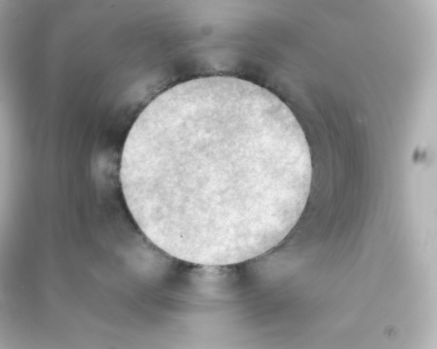 X0000090430672200708102006
