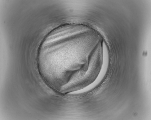 X0000090430673200708102006