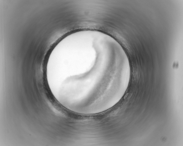 X0000090430674200708102006