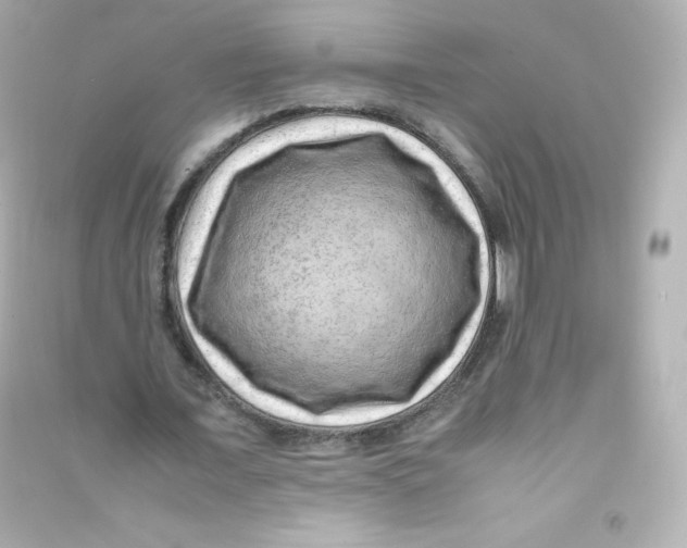 X0000090430675200708102006