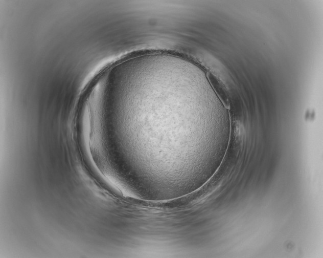 X0000090430676200708102006