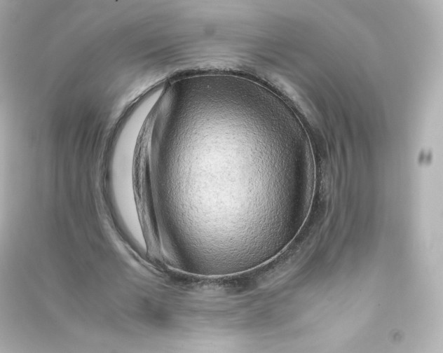 X0000090430677200708102005