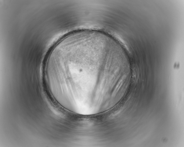 X0000090430678200708102005