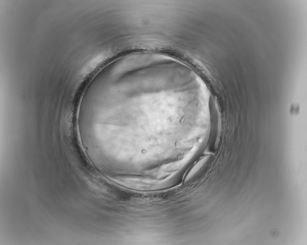 X0000090430679200708102005