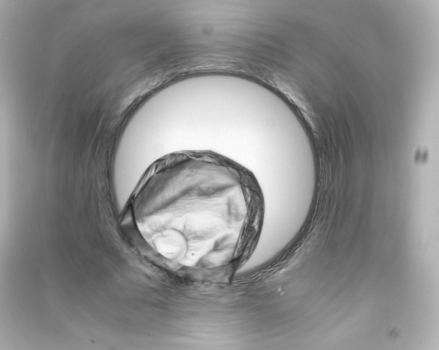 X0000090430681200708102005