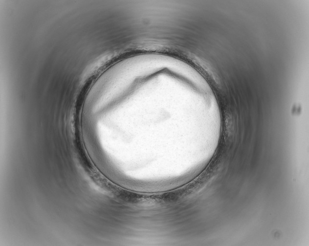 X0000090430682200708102005