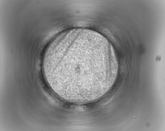 X0000090430683200708102005