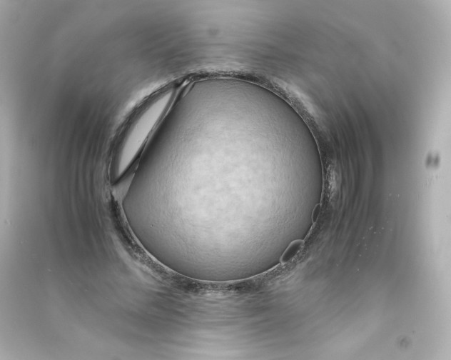 X0000090430684200708102005