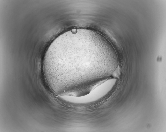 X0000090430685200708102005