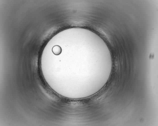 X0000090430686200708102005