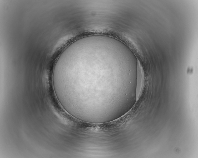 X0000090430688200708102005