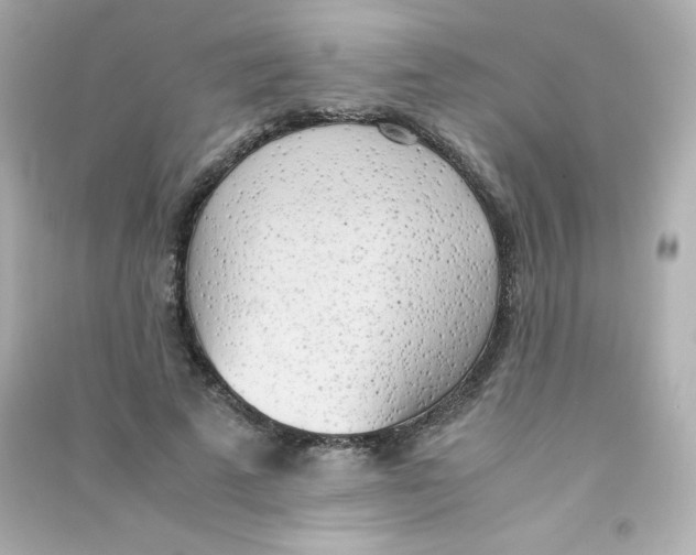 X0000090430689200708102005