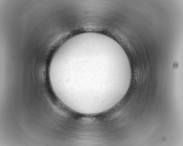 X0000090430690200708102005