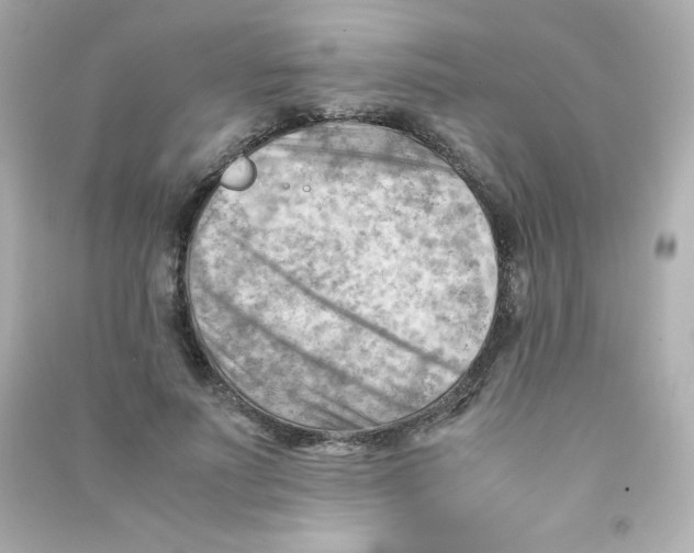 X0000090430691200708102005