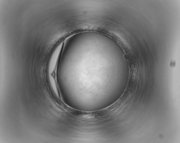 X0000090430692200708102005
