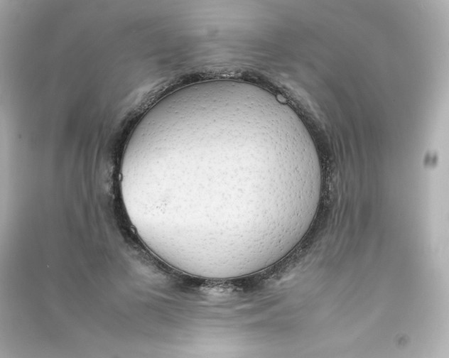 X0000090430693200708102005