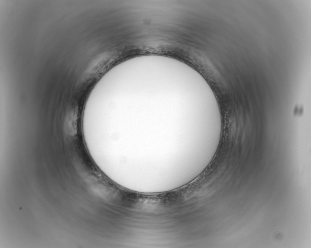 X0000090430694200708102005