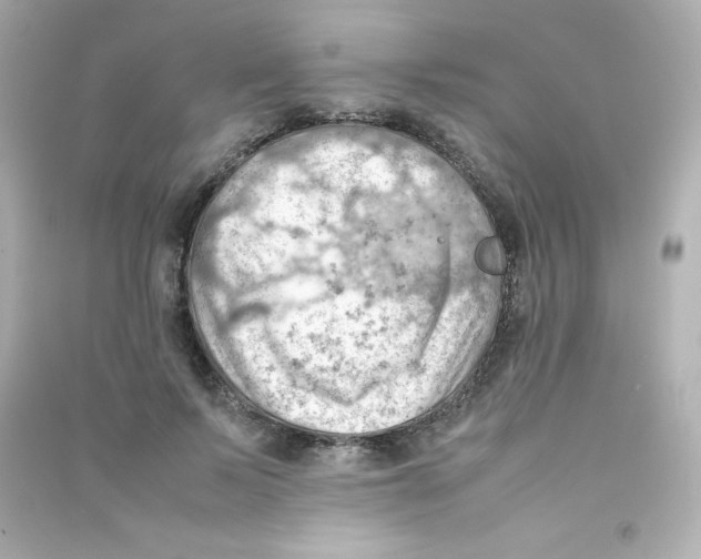 X0000090430695200708102005