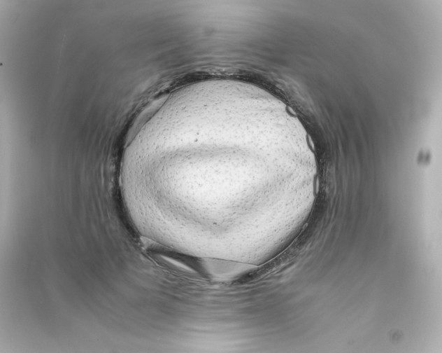 X0000090430697200708102005