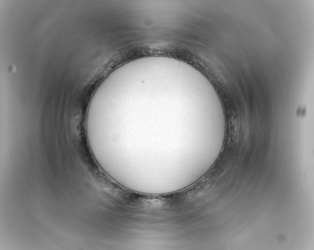 X0000090430698200708102005