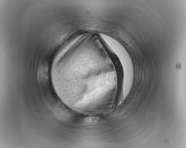 X0000090430700200708102005