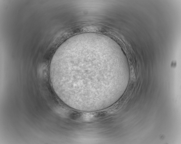 X0000090430701200708102005
