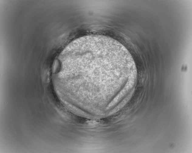 X0000090430703200708102005
