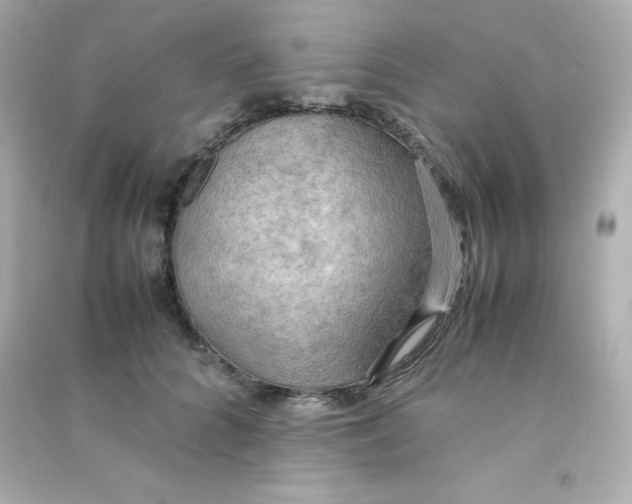 X0000090430704200708102005