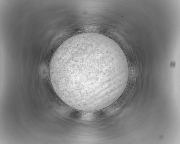 X0000090430705200708102005