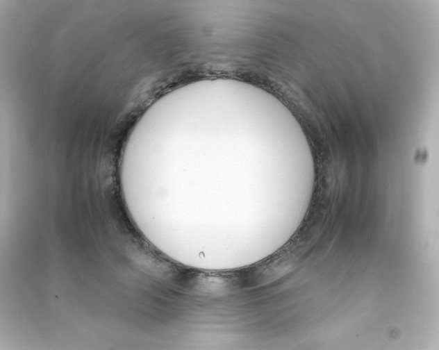 X0000090430706200708102005