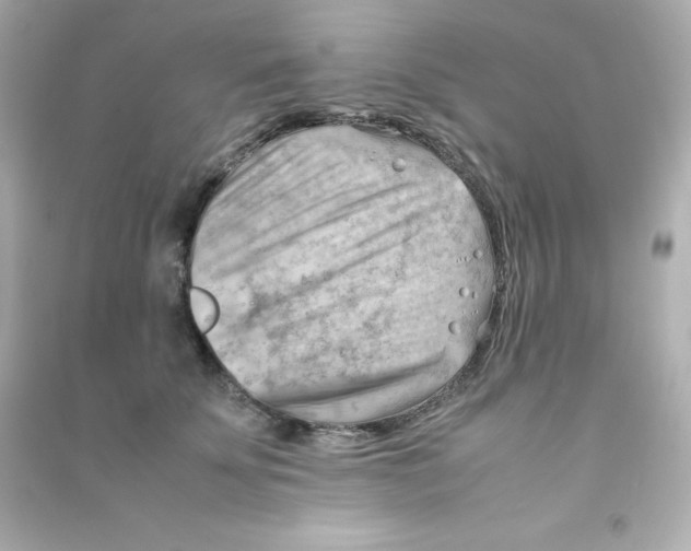 X0000090430707200708102005