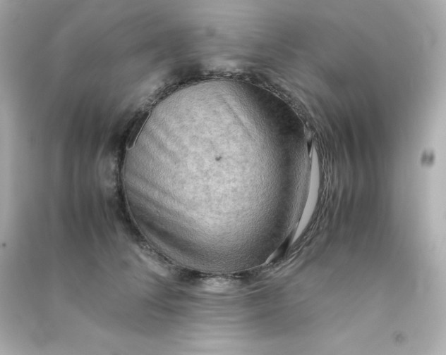 X0000090430708200708102005