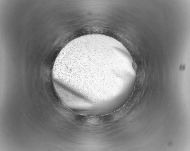 X0000090430709200708102005