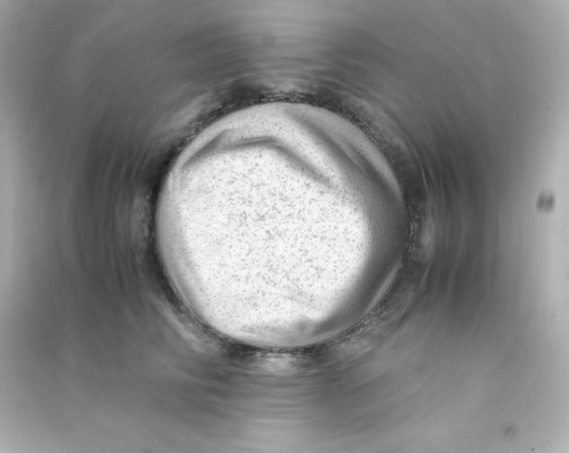 X0000090430710200708102005