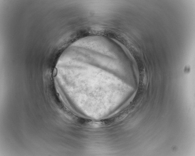X0000090430711200708102005