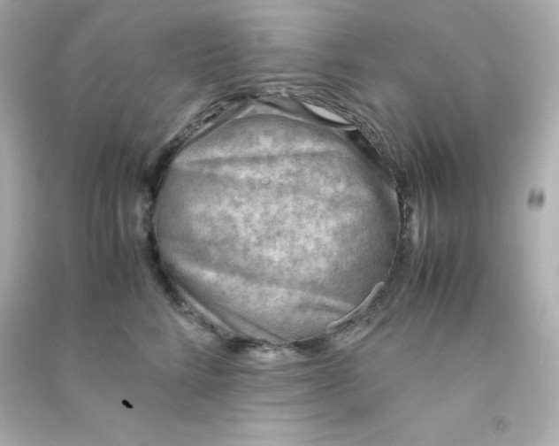 X0000090430712200708102005